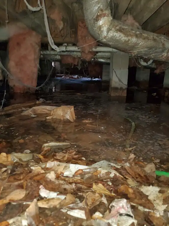 Crawl space flood assessment for Commercial Water Damage Restoration in Hybla Valley
